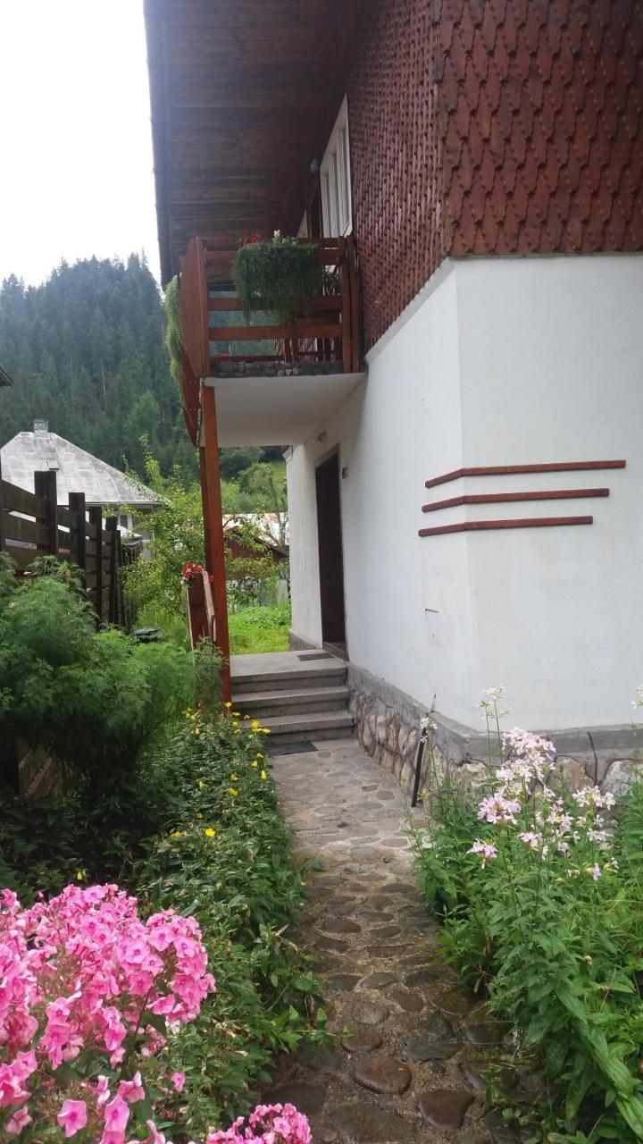 Hotel Casa De Vacanta Joldes Gîrda de Sus Exterior foto